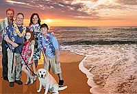 Ein Hund rettet den Sommer [DVD], 5