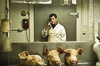 Starbuck [Blu-ray], 2