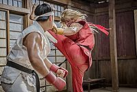 Street Fighter - Assassin's Fist [Blu-ray], 2