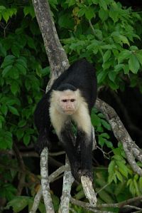 Die fantastische Reise unserer Erde  [Blu-ray], 2