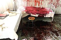 V/H/S 2 - S-VHS [DVD], 7