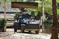 Zum Glück bleibt es in der Familie [DVD], 7