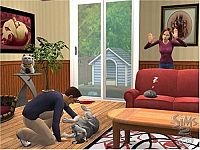 Die Sims 2 - Haustiere [PC], 5