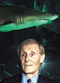 Der weisse Hai: Roman, 1