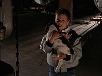 Wunder Hunde - Eine magische Geschichte [DVD], 4