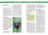 Massage - Muskel- und Gelenkprobleme erkennen und beheben, 2