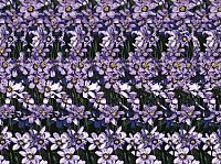 Das magische Auge, 2