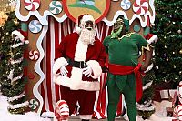 Das Perfekte Weihnachten [DVD], 8