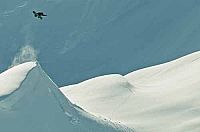 The Art of Flight (OmU) [Blu-ray 3D], 3