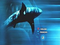 Les dents de la mer 3 [DVD], 4