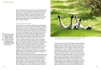 Macho oder Mimose, 3