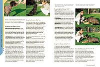 Hunde erziehen mit dem Clicker, 4