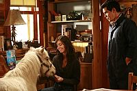 Heartland - Paradies für Pferde - Staffel 1 [DVD], 3