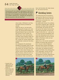 Westernreiten - Das Praxisbuch, 4