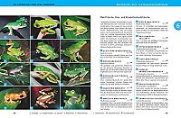 Das grosse GU Praxishandbuch Terrarium, 5