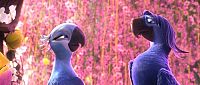 Rio 2 [DVD], 7
