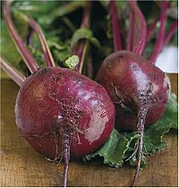 Herbst Winter Gemüse, 4