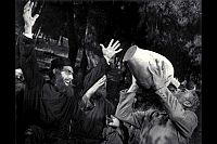 Alexis Sorbas [DVD], 2