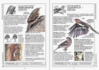 RSPB Birdfeeder Pocket Book, 4