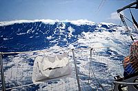 Der Paradiesjäger - Für immer ausgestiegen, 8