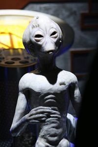 Stargate Atlantis - Staffel 5 [DVD], 2