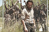 The Walking Dead - Saison 4 [DVD], 4