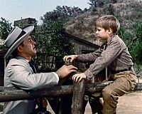 Am Fuss der blauen Berge 2 [DVD], 5