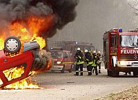 Sounds of Fear [DVD], 5