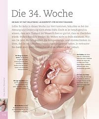 Alles über meine Schwangerschaft Tag für Tag, 3