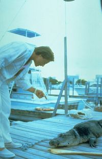 Miami Vice - Staffel 3 [DVD], 7