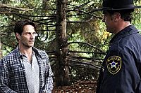 The Forest [DVD], 3