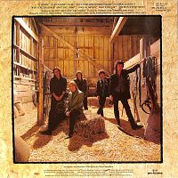 Southern Accents [Vinyl], 1