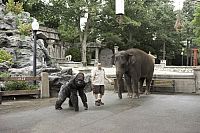 Der Zoowärter [DVD], 9