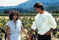 Falcon Crest - Staffel 1 [DVD], 5