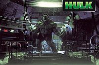 Hulk [DVD], 7