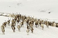 Unsere Wildnis [Blu-ray], 5