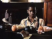 Gleichheit kennt keine Farbe [DVD], 3