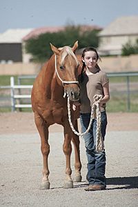 Sarah und Summer - Gemeinsam sind wir stark [DVD], 4