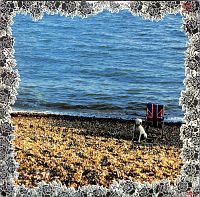 Setting Sons [Vinyl], 1