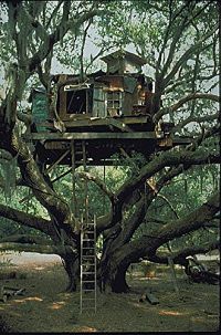 Das Baumhaus [Blu-ray], 6