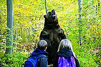 Kleine Helden, grosse Wildnis [Blu-ray], 5