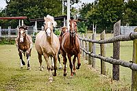 Winnetous Sohn [Blu-ray], 5