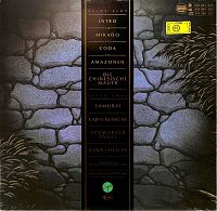 Die Chinesische Mauer [Vinyl], 1