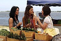 Wilde Zeiten - Neue Freunde neu gemischt! [DVD], 3