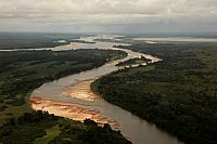 Das Geheimnis der Bäume  [DVD], 8