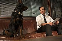 Show Dogs [Blu-ray], 3