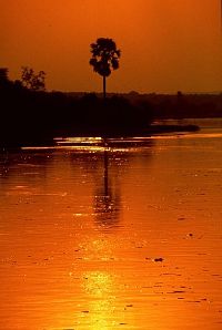 Nil - Fluss der Götter [DVD], 2