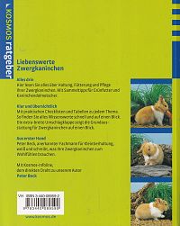 Liebenswerte Zwergkaninchen, 1