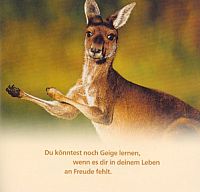 Immer mit der Ruhe, 2