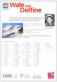 Wale und Delphine, 1